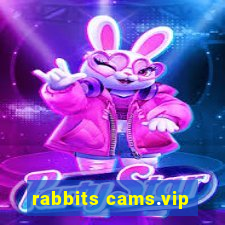 rabbits cams.vip